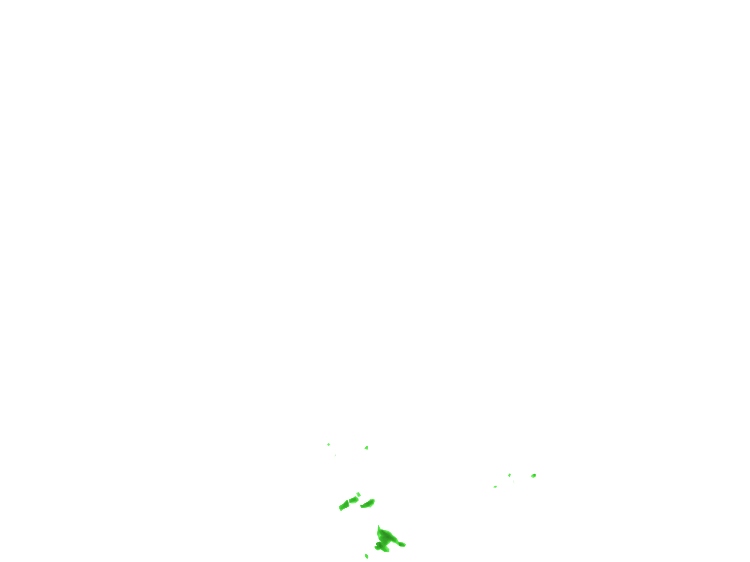 Florida 6Hour Animated Weather Radar